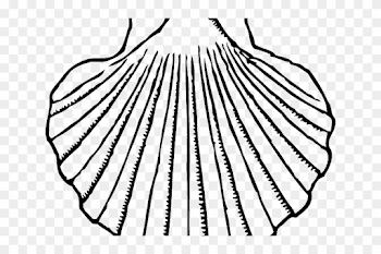 Shell Clipart Mussel Shell - Clams Clipart - Free Transparent PNG ...