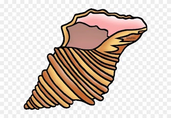 Shell Clipart United States Clip Art Phillip Martin - Whelk Clipart