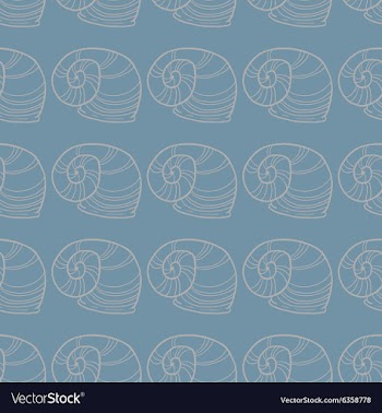 Shell seamless pattern vector image