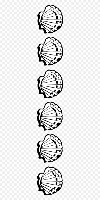 Shell Transparent Border Png Free Stock - Seashell Border Black And White
