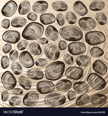 Shells background vector image