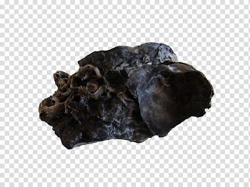 Shells part II, black smoke illustraton transparent background PNG clipart