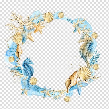 Shells starfish wreath transparent background PNG clipart