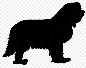 Sheltie Vector graphics Royalty-free Stock illustration -  