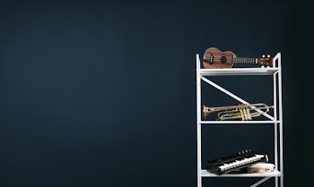 Shelving With Musical Instruments