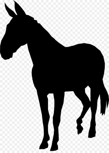 Shetland pony Silhouette Drawing Image -  