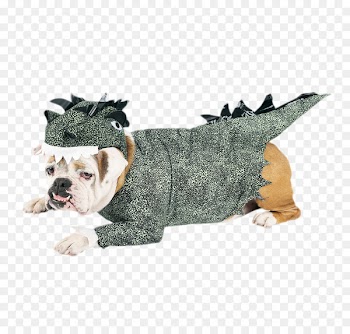 Shiba Inu Dino dog Puppy Costume - Cute dog clothes 