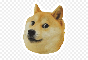 Shiba Inu Dogecoin Animal Puppy - Doge png download - 596*607 ...