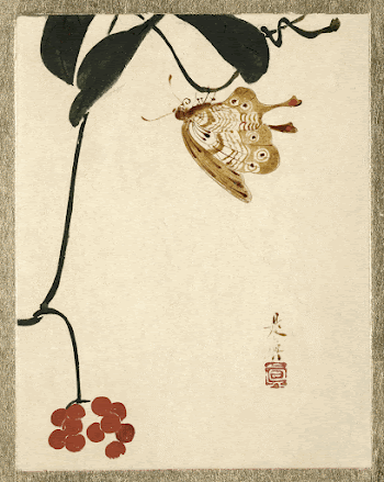 Shibata Zeshin's Red Berry Plant | Free Photo Illustration - rawpixel