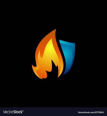 Shield and flame logo vector image