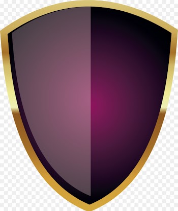 Shield Icon - Warrior shield 
