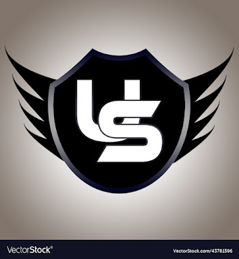 shield logo design 2