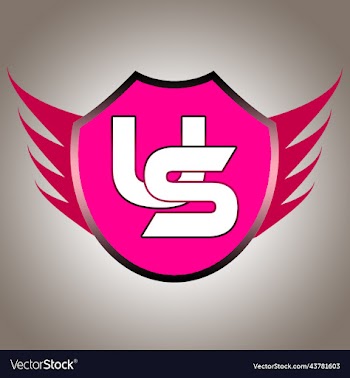 shield logo design 4