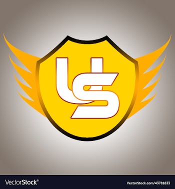 shield logo design 7