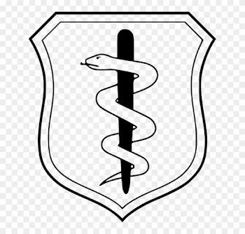 Shield, Snake, Staff, Badge, Doctor - Air Force Medical Corps