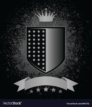 Shield with grunge vector image