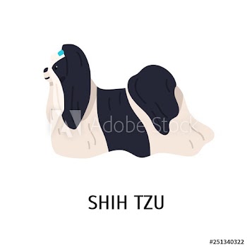 Shih Tzu