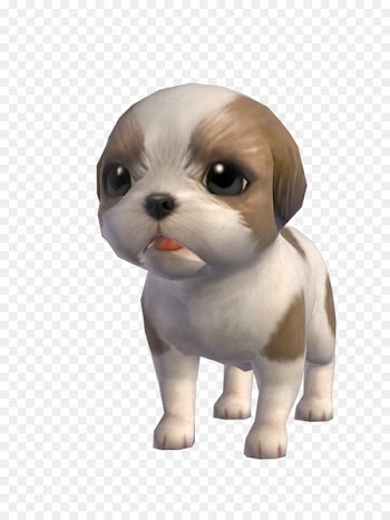 Shih Tzu Puppy Dog breed Companion dog Toy dog - puppy 