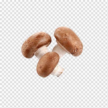 Shiitake Common mushroom Hen-of-the-wood, Fresh vegetables and mushrooms transparent background PNG clipart