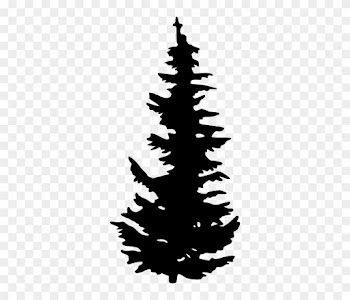 Shilouettes Of Trees - Pine Tree Silhouette Png
