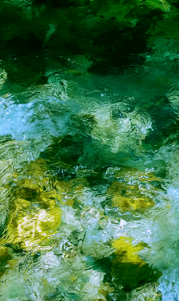 Shimmering Forest Stream from Above