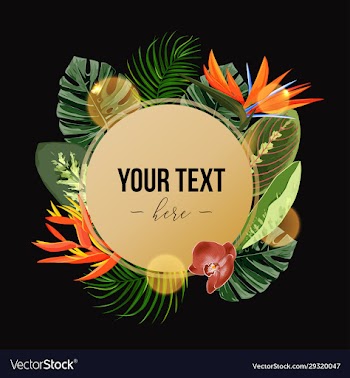 shining design template with tropical plants