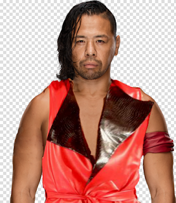 Shinsuke Nakamura Transparent Images