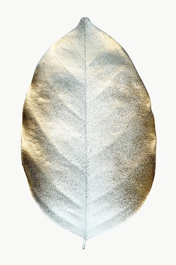 Shiny gold leaf transparent png | Free  transparent png - 2227663