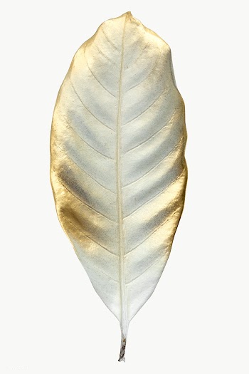 Shiny gold leaf transparent png | Free  transparent png - 2228258