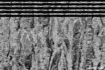Shiny patterned fabric background