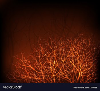 Shiny trees vector image