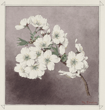 Shirayuki / K. Tsunoi.. Original | Free Photo - rawpixel