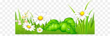 Shirdi Sai Baba Temple, Mylapore NOLA Social Ride's Bike Corral Thursday Happiness Week - Grass with Daisies Ground Clipart 
