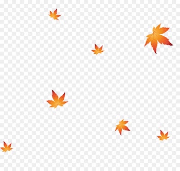 Shoe Maple leaf - Simple and elegant bubbles floating petals 