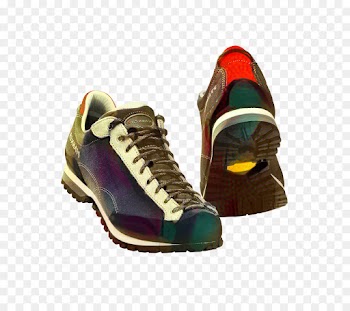 Shoe, Pfanner, Sneakers, Footwear PNG