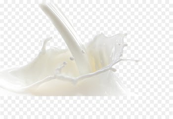 Shoe Plumbing fixture Material - Pour milk 