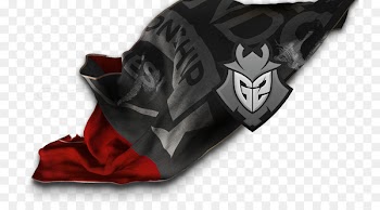 Shoe Product Personal protective equipment G2 Esports - bangs flag 