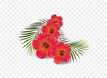 Shoeblackplant Euclidean vector Icon - Vector green leaves Hibiscus 