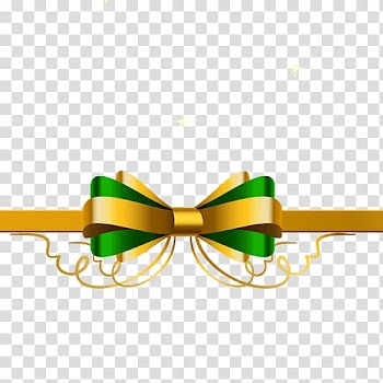 Shoelace knot Bow tie Ribbon , Green bow transparent background PNG clipart