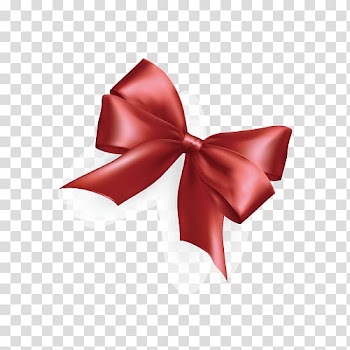 Shoelace knot Ribbon, Bow transparent background PNG clipart