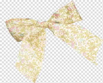 Shoelace knot Ribbon Butterfly loop, Golden Bow transparent background PNG clipart
