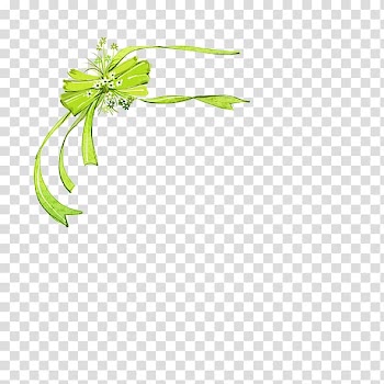 Shoelace knot Ribbon, Fancy bow transparent background PNG clipart