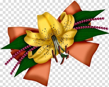 Shoelace knot Ribbon Floral design, Floating bow transparent background PNG clipart