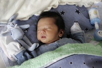 shogo0205_DY1_002.jpg