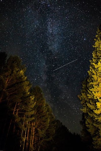 shooting star