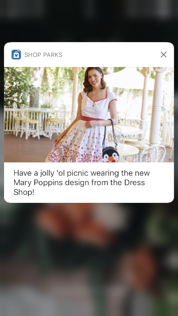 Shop Disney Parks — Brigitte Najarian