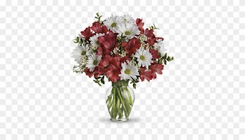 Shop For Alstroemeria - Dozen Roses In A Vase
