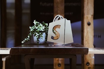 Shopify Logo Window With Plant