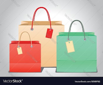 Shopping Bag Design6 vector image