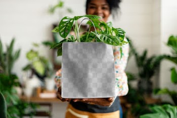 shopping bag mockup with plant inside eco… | Free stock illustration | High Resolution graphic